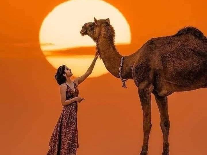 Om Luxury Resort Jaisalmer Zewnętrze zdjęcie
